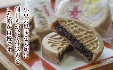 最中の詰合せ 10個入り 和菓子 茶菓子 もなか お中元 お歳暮 ギフト お供物 大分県産 九州産 津久見市 国産【tsu000502】