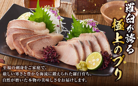 羅臼産刺身用ブリ　500g