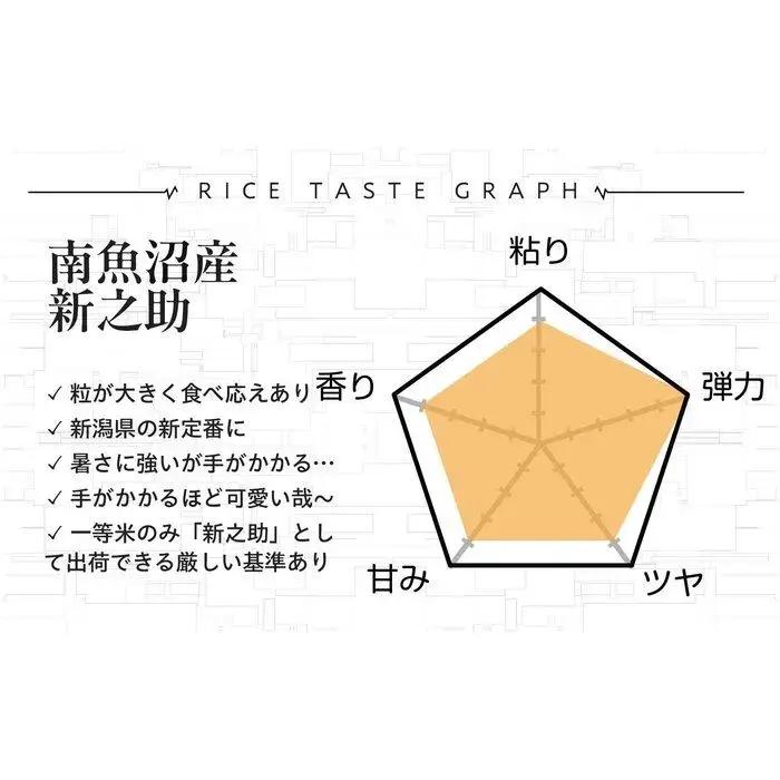定期便【令和8年新米予約】精米5kg×12回 南魚沼産新之助＜12ヶ月定期便＞農家直送_AG【令和8年10月中旬から1ヶ月以内に順次発送予定】 | 新米