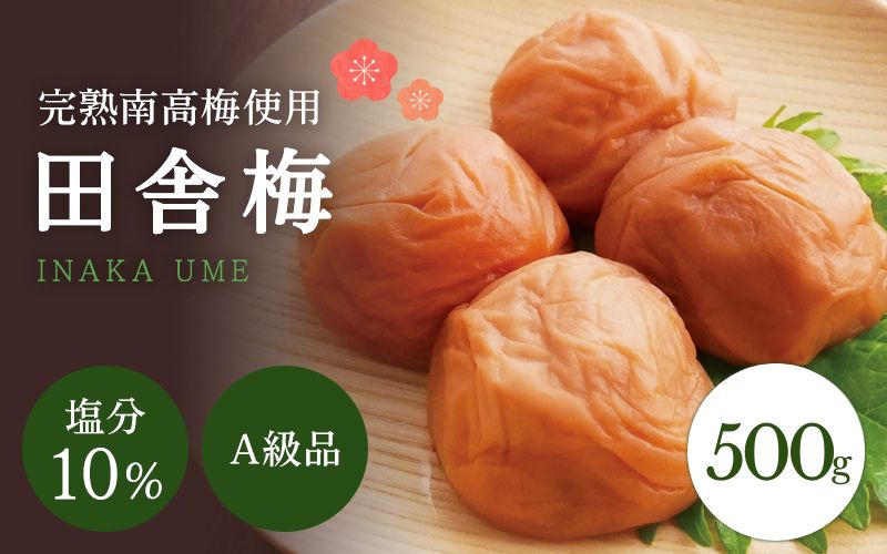 【A級品】紀州南高梅 田舎梅 500g 塩分10％ / 梅干し 梅干 うめぼし 南高梅 国産 梅 うめ ウメ 完熟 健康 ご飯のお供 昔ながら 贈り物 ギフト プレゼント お取り寄せ せんのうめ 和歌