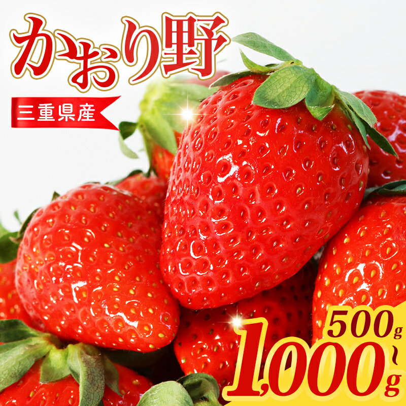 【ふるさと納税】 【数量限定】 いちご 選べる容量 2～4パック かおり野 苺 大粒 新鮮 産地直送 厳選 フルーツ 果物 くだもの 贈答用 贈答品 贈答 ギフト プレゼント 国産 三重県 伊勢 志摩 南伊勢町 10000円以下 一万円以下 6000円 六千円
