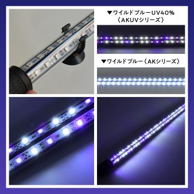 ふるさと納税 小牧市 スリム&高耐久!金龍を美しく、UV-Aチップ配合の水中LED|AK-120UV-EX[172C15] |  | 02