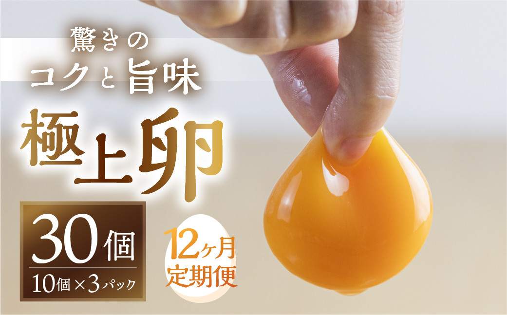 
            【12回お届け定期便】コク旨 極上卵 30個 割れ保証付き 定期便 （ たまご 卵 毎月 12回 12ヶ月 12ヵ月 12か月 1年 ランキング ）
          
