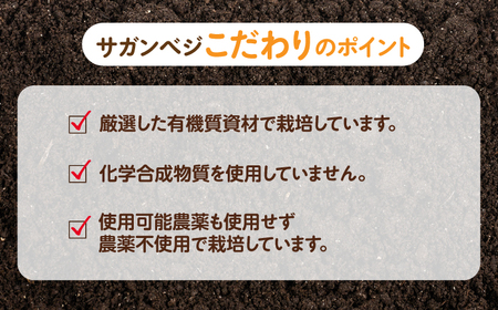 ＜植物性で育てた葉野菜ブランド＞ オーガニック葉物野菜セット 7種×2パック 有機JAS 佐賀県/株式会社サガンベジ[41ANCH002]