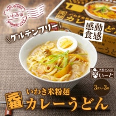 【グルテンフリー】いわき米粉麺カレーうどん　3食入×3箱