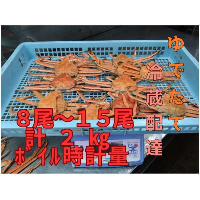 ふるさと納税 白老町 ゆでたて冷蔵便 8尾から15尾で2kg 訳あり オオズワイガニ(オス・メスおまかせ)