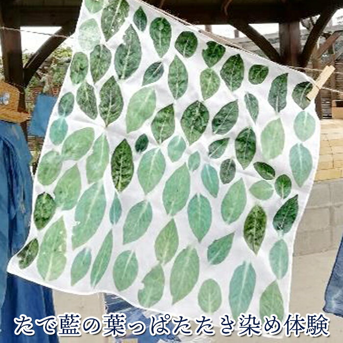 【ふるさと納税】たで藍の葉っぱたたき染め体験