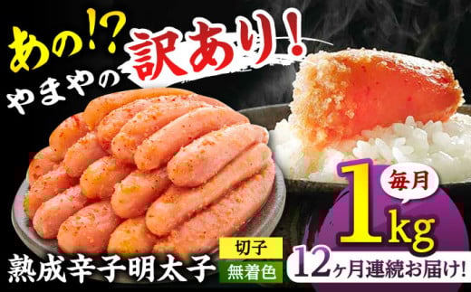 【全12回定期便】 訳あり やまやの無着色・熟成辛子明太子 切子 1kg ▼ めんたいこ 定期便 やまや 着色料 無添加 明太子 桂川町/株式会社やまやコミュニケーションズ[ADAN036]