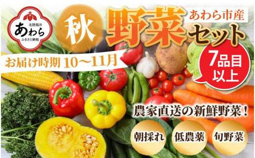 【先行予約】農家直送 秋野菜セット 1箱 7品目以上 《元気に育った新鮮野菜！》※2024年10月下旬以降発送