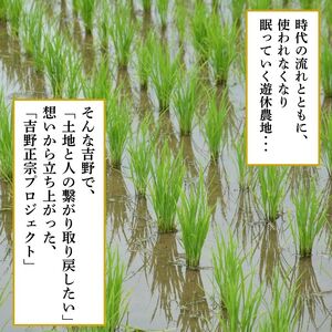 日本酒 吉野正宗 呑み比べ3本セット 各180ml [BRBC042]