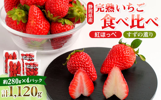 静岡県掛川市産　ミズノ農園の完熟いちご「紅ほっぺ」「すずの薫り」2種各2パック食べ比べセット【配送不可地域：離島・北海道・沖縄県・四国・九州】