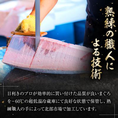 ふるさと納税 川崎市 天然 マグロ 赤身 1kg ( 200g × 5柵 ) かわさき北部市場まぐろ仲卸 |  | 02