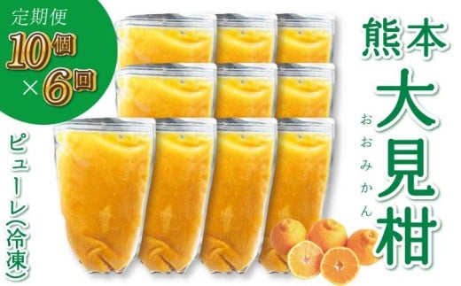 【定期便6回】熊本大見柑ピューレ(冷凍) 1kg入り 10個 不知火 不知火果汁 しらぬい デコポンと同品種 ピューレ アイス お菓子 料理 爽やか 柑橘 果物 くだもの フルーツ 熊本県産 九州産 国産 宇城市産 株式会社la Nui.