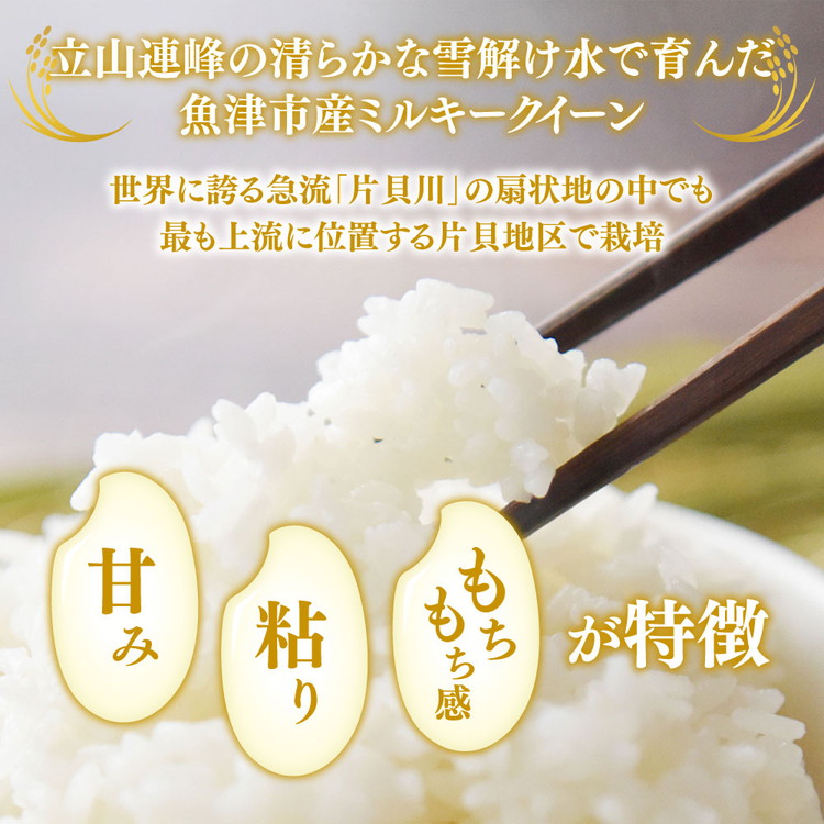 【令和7年度米】【農家直送】環境配慮「魚津のミルキークイーン（晃米）」5kg（白米） ※北海道・沖縄・離島への配送不可
