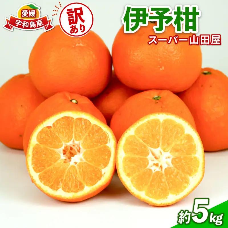 みかん 訳あり 伊予柑 いよかん 約5kg スーパー山田屋 先行予約 果物 くだもの フルーツ 柑橘 mikan 蜜柑 愛媛蜜柑 愛媛みかん わけあり サイズ 不揃い 産地直送 数量限定 国産 愛媛 宇和島 B010-198005