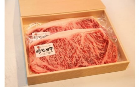 H18　新発田牛　ステーキサーロイン2人前　200ｇ×2枚