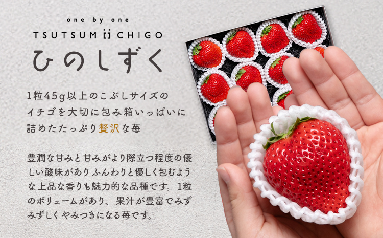 贅沢イチゴ ひのしずく 約45g×12玉 いちご イチゴ 苺《2026年3月発送予定》ヴァリアス株式会社 果物 くだもの フルーツ 希少 ギフト プレゼント 贈り物 国産 九州産 熊本県 菊池市 送料