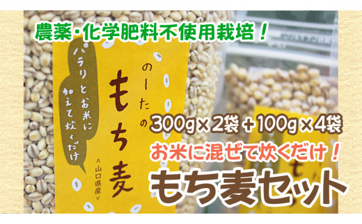 
国産もち麦300g2袋 ＆ 100g4袋 d10-21
