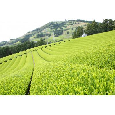 ふるさと納税 掛川市 掛川東山茶「ききょう」茶葉　5g×30袋 |  | 01