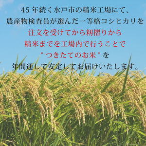 【5ヶ月定期便】【令和7年産】茨城県産コシヒカリ 宝蔵米 15kg×5回【お米 米 菊池 こしひかり つきたてのお米 食味ランキング特A評価 茨城県 水戸市】（CZ-714）
