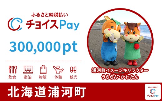
            浦河町チョイスPay 300,000pt【会員限定のお礼の品】
          
