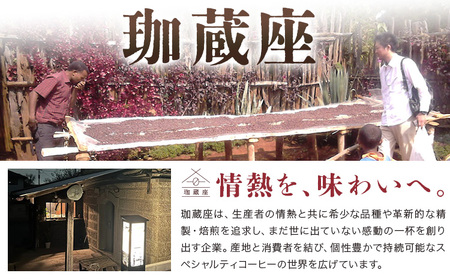 石蔵 ブルンジエフレム 2種 プロセス 飲みくらべ 焙煎豆 100g 珈蔵座《30日以内に出荷予定(土日祝除く)》ウォッシュト ナチュラル コーヒー 飲み比べ カフェ 千葉県 流山市 送料無料