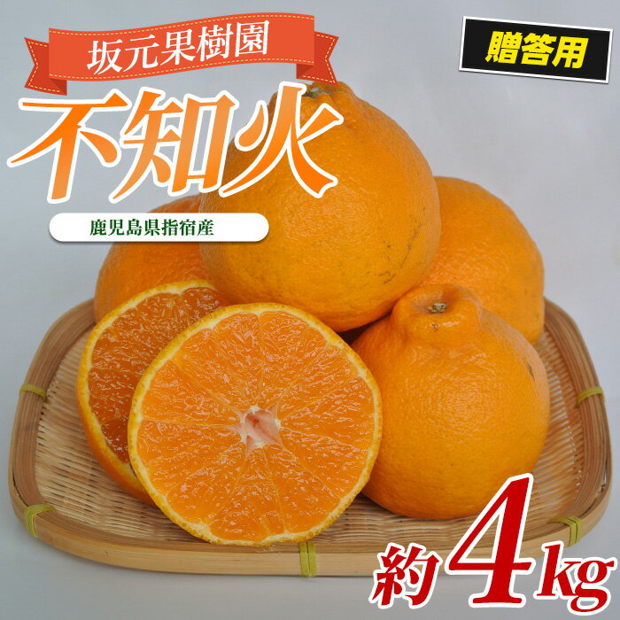 【ふるさと納税】＜期間限定！2026年2月上旬頃以降順次発送＞数量限定！坂元さんちの不知火(約4kg・10～12玉)恵まれた自然の中で育てた、濃厚な甘さが特徴の人気品種！ 鹿児島 不知火 みかん 柑橘 フルーツ 果物 ギフト 贈り物 プレゼント 贈答用 化粧箱【坂元果樹園】
