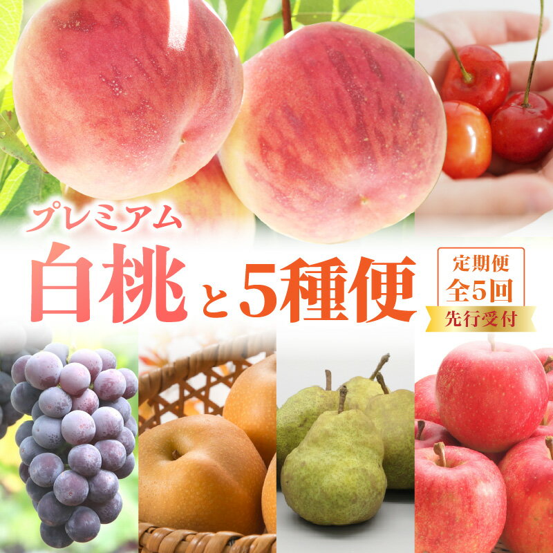 【ふるさと納税】《先行受付》プレミアム白桃と5種便【定期便全5回】 ふるさと納税 山形県 大江町 さくらんぼ プレミアム白桃 ピオーネ ラ・フランス サンふじ りんご 洋梨 フルーツ デザート 定期便