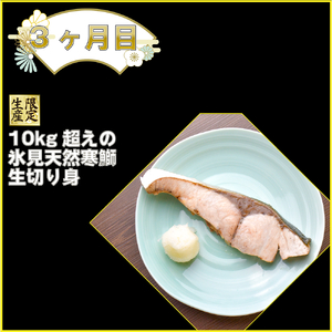 【3回定期便】冬の味覚氷見天然ぶり全部盛り ＜2025年12月以降順次発送＞  寒ぶり 限定 鰤 富山県 氷見市