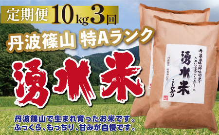 定期便 お米 特A 湧水米コシヒカリ【 10kg 3回 】定期便