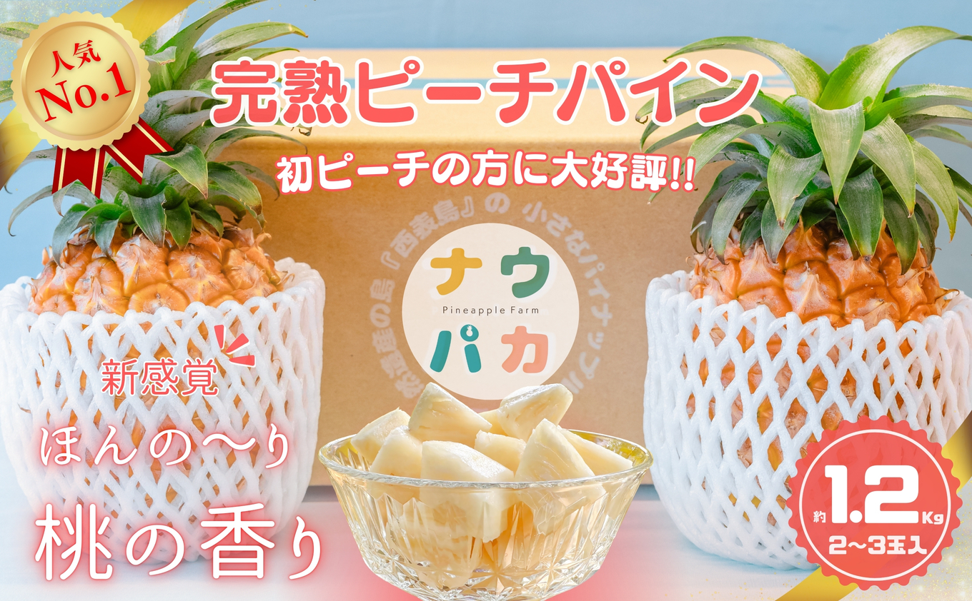 人気No.1『初ピーチの方に大好評!!』☆新感覚の味わい!!☆桃のような甘～い香りのする芳醇なパイナップル！約1.2kg　西表島ナウパカ