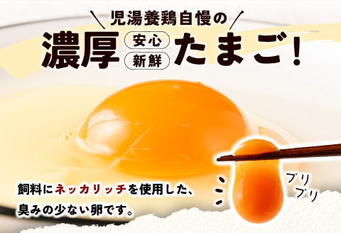 ＜配送開始月が選べる!!＞児湯養鶏自慢の卵 ネッカリッチ赤たまご「児湯一番」 計480個 （20個入×2箱）×12か月定期便 生活応援 ※2027年1月配送開始【E19-2701】 2027年1月配送