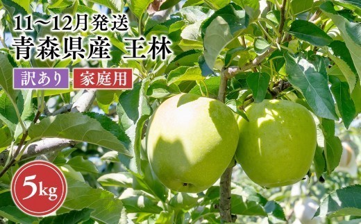 
                  2026年11月～12月発送　【訳あり】家庭用王林 約5kg【原田農園】
                