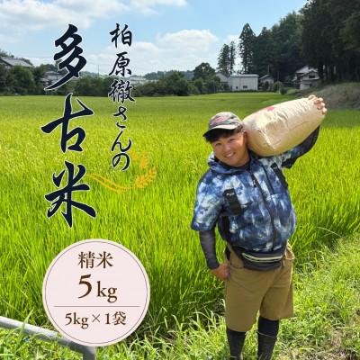 ふるさと納税 多古町 多古米セレクション　柏原徹さんの多古米コシヒカリ　精米5kg　令和7年産