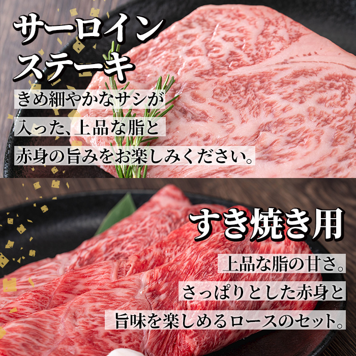 s598 ＜先行予約受付中！2025年1月中旬より順次発送予定＞鹿児島県産 北さつま高崎牛 お肉三昧セット (合計約1.7kg ・ステーキ300g×1枚 、すき焼き用 200g、焼き肉用200g、切り