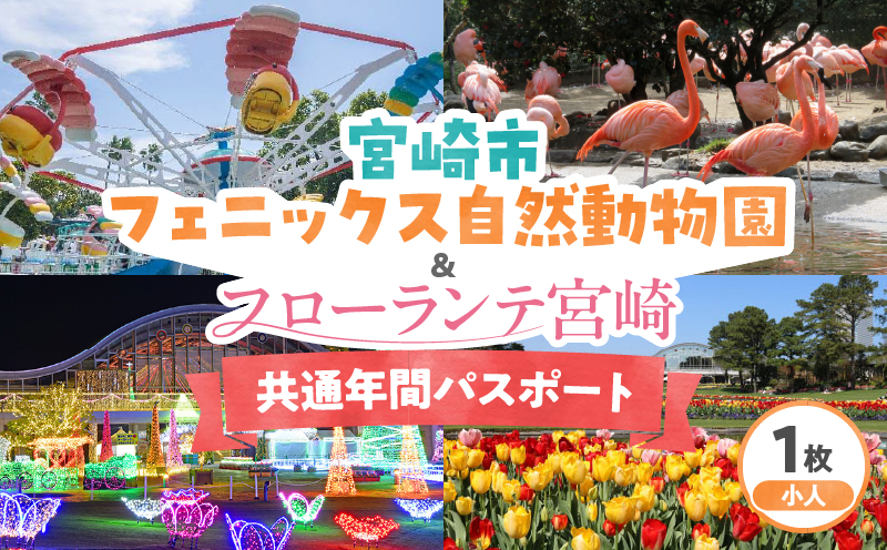 宮崎市フェニックス自然動物園＆フローランテ宮崎共通年間パスポート（小人）_M353-003-01