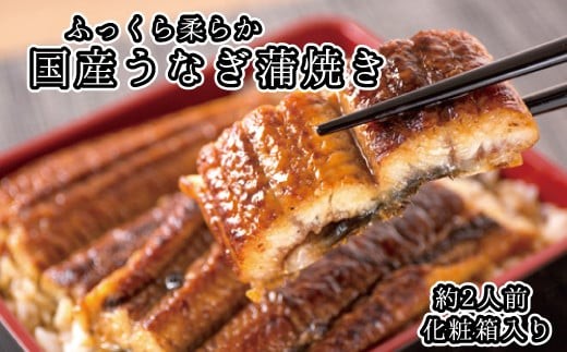 【国産　大型サイズ】ふっくら柔らか 国産うなぎ蒲焼き 1尾 約2人前 化粧箱入/うなぎ ウナギ 鰻 うなぎ蒲焼 国産【uot714A】