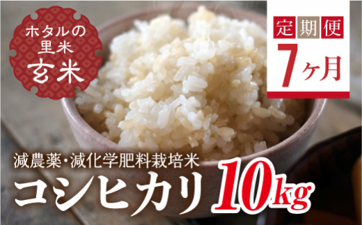 ＜定期便7ヶ月＞ 令和8年産米【ホタルの里米】環境に配慮し農薬を減らした栽培米 コシヒカリ玄米10kg  F4D-2309