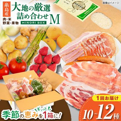 ふるさと納税 糸島市 糸島産 肉 米 野菜 果物 厳選詰め合わせ MINORI BOX M [AOP011]
