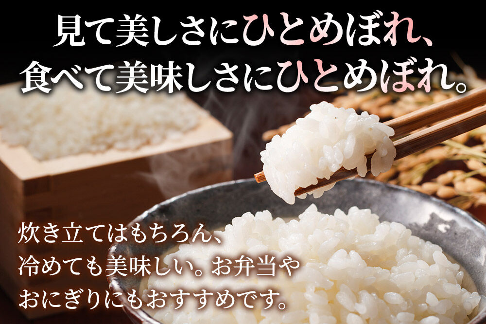 米《定期便3ヶ月》ひとめぼれ【白米】 米どころ秋田県産 令和7年産 精米 10kg（2kg×5袋） [米 お米 こめ 白米 精米 ブランド米 小分け ご飯 ごはん 米どころ 秋田県産 2kg袋]