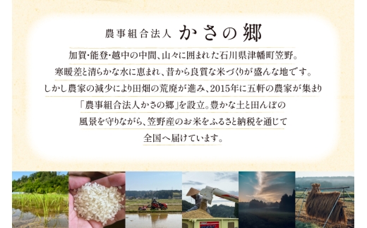 米 令和8年産 6回 定期便 特別栽培米 コシヒカリ 5kg [ かさの郷 石川県津幡町 tb17bgj610011] お米 こめ 令和8年 こしひかり 10キロ おこめ ご飯 ごはん ゴハン 精米 