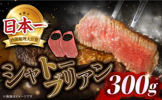 シャトーブリアン ステーキ 長崎和牛 約300g （2枚）＜株式会社 黒牛＞ [CBA014] 長崎 西海 ヒレ 和牛 シャトーブリアン 希少部位 贈答 ギフト 高級 ヒレ ステーキ