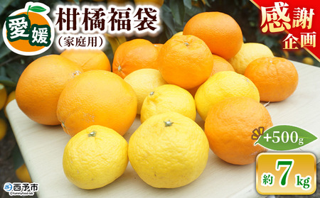 ＜笑丸のお楽しみ柑橘福袋（家庭用）約7kg＋500g＞感謝企画 自宅用 訳あり 果物 くだもの フルーツ ミカン みかん 蜜柑 高級柑橘 詰め合わせ 春柑橘 春みかん 夏柑橘 特産品 笑丸 愛媛県 西予市 常温『2026年1月～5月に順次出荷予定』AAN0083