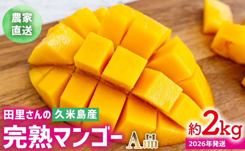 
                  【2026年発送】農家直送！田里さんの久米島産完熟マンゴー A品 約2kg マンゴー フルーツ 果物 デザート 完熟 A品 甘い ジューシー スムージー アイス プリン ヨーグルト ケーキ 贈り物 贈答 ギフト お中元 南国 沖縄 久米島
                