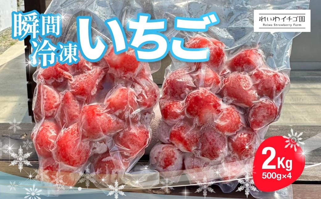 
                  いちご 冷凍いちご やよいひめ 2kg｜ いちご やよいひめ スムージー アイス ジャム ひんやり 冷凍 群馬県産 れいわいちご園 れいわイチゴ園 れいわブドウ園 れいわぶどう園 群馬県 前橋市
                