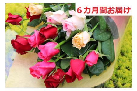 バラ 【約15本×6カ月定期便】生産者直送 有機栽培で育った朝切りバラの花束