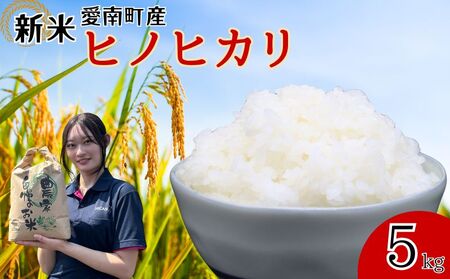 【 令和7年産 】 ヒノヒカリ 5kg 青果市場
