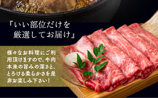 【厳選部位】【A4〜A5】博多和牛サーロインしゃぶしゃぶすき焼き用　600g（300ｇ×2ｐ）	DX044