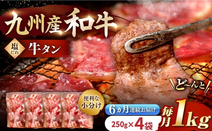
            国産牛タン定期便【6回定期便】九州産和牛の牛タン約1kg（約250g×4パック）国産 牛タン和牛長与町/岩永ホルモン [EAX082] 国産 牛肉 和牛 タン 牛タン 塩だれ牛タン 塩ダレ 牛たん塩 味付き ぎゅうたん ギュウタン 薄切り スライス 味付き 塩 焼肉 焼き肉 冷凍 焼くだけ 簡単調理 小分け 真空 定期便 ていきびん 定期 毎月 届く
          