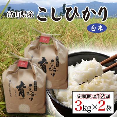 ふるさと納税 南砺市 【発送月固定定期便】富山県産こしひかり　育(はぐくみ) 白米3kg×2袋《南砺の逸品》全12回